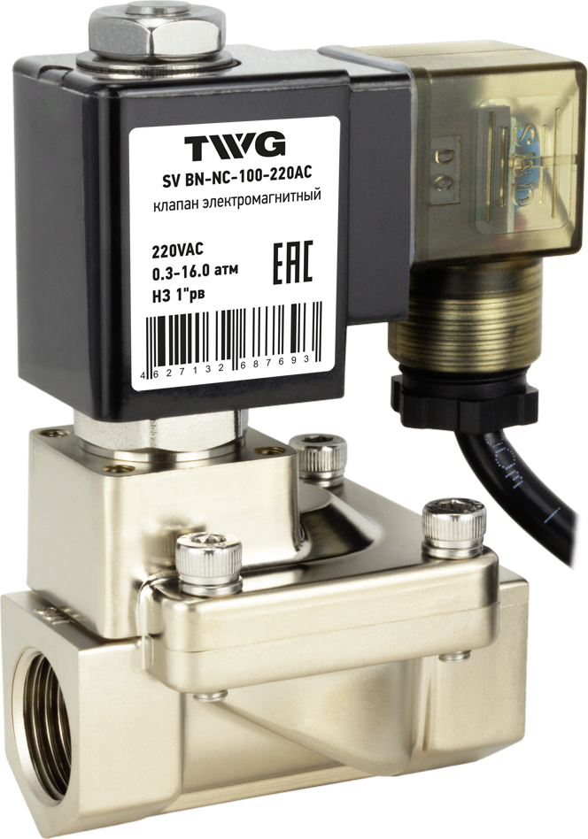 Кран с электроприводом TWG SV BN-NC-100-220AC