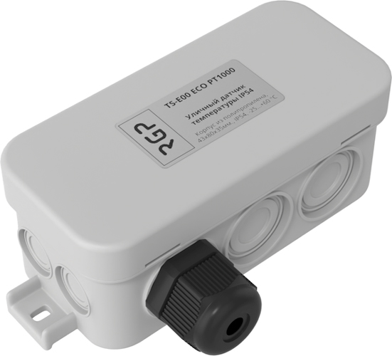 Датчик температуры RGP TS-E00 ECO PT1000