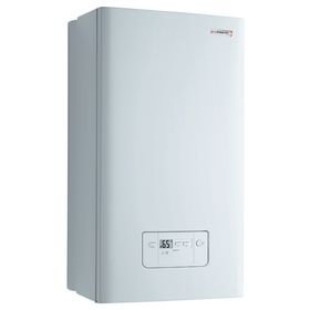 Настенный двухконтурный котел Protherm Gepard 12 MTV (0010015237)